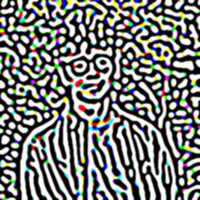 Maxime Vidal's profile picture