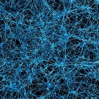 NeuroCircuit-Labs's profile picture