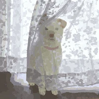 SLM's profile picture