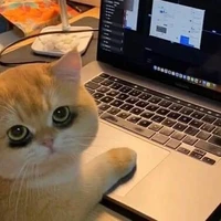 jjentaa's profile picture