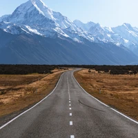 miaomiaodui's profile picture