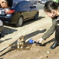 Hugging Face SMOL's profile picture