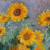 Amélie Raymond's profile picture