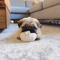 Arisa's profile picture