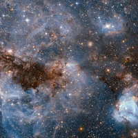 Michael Brown's profile picture