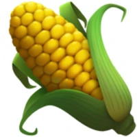 cornstack-dev's profile picture