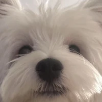 Evans Han's profile picture