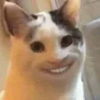 Yi-Ping Chao's profile picture