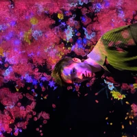 Simo Lin's profile picture