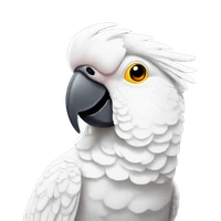 Julianna Chen's profile picture