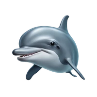 MAULIK MANDALI's profile picture