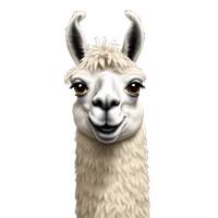 Anusha Dudi's profile picture