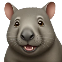 Isaac Adams's profile picture