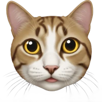 Andrey's profile picture