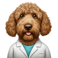 Omid Solari's profile picture