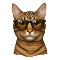 Austin Feng's profile picture