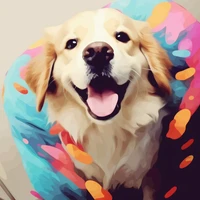 David Rodrigues Albuquerque's profile picture