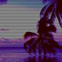 Nils Barring's profile picture