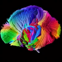 r d's profile picture