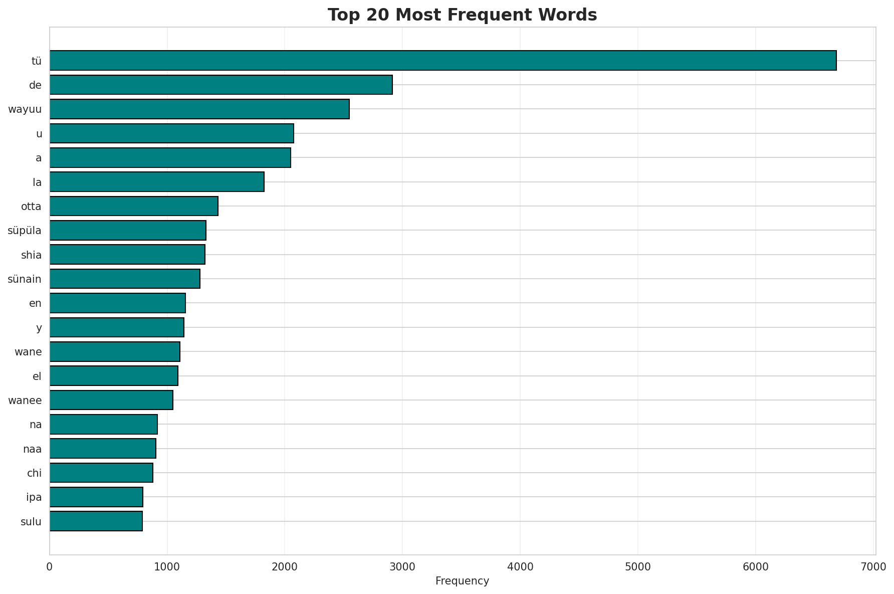 Top Words