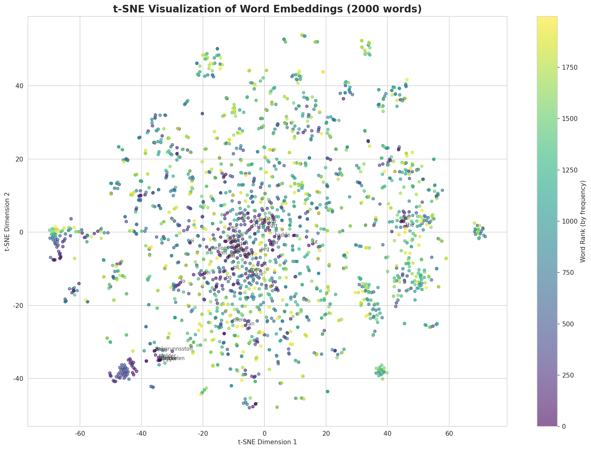 t-SNE Words